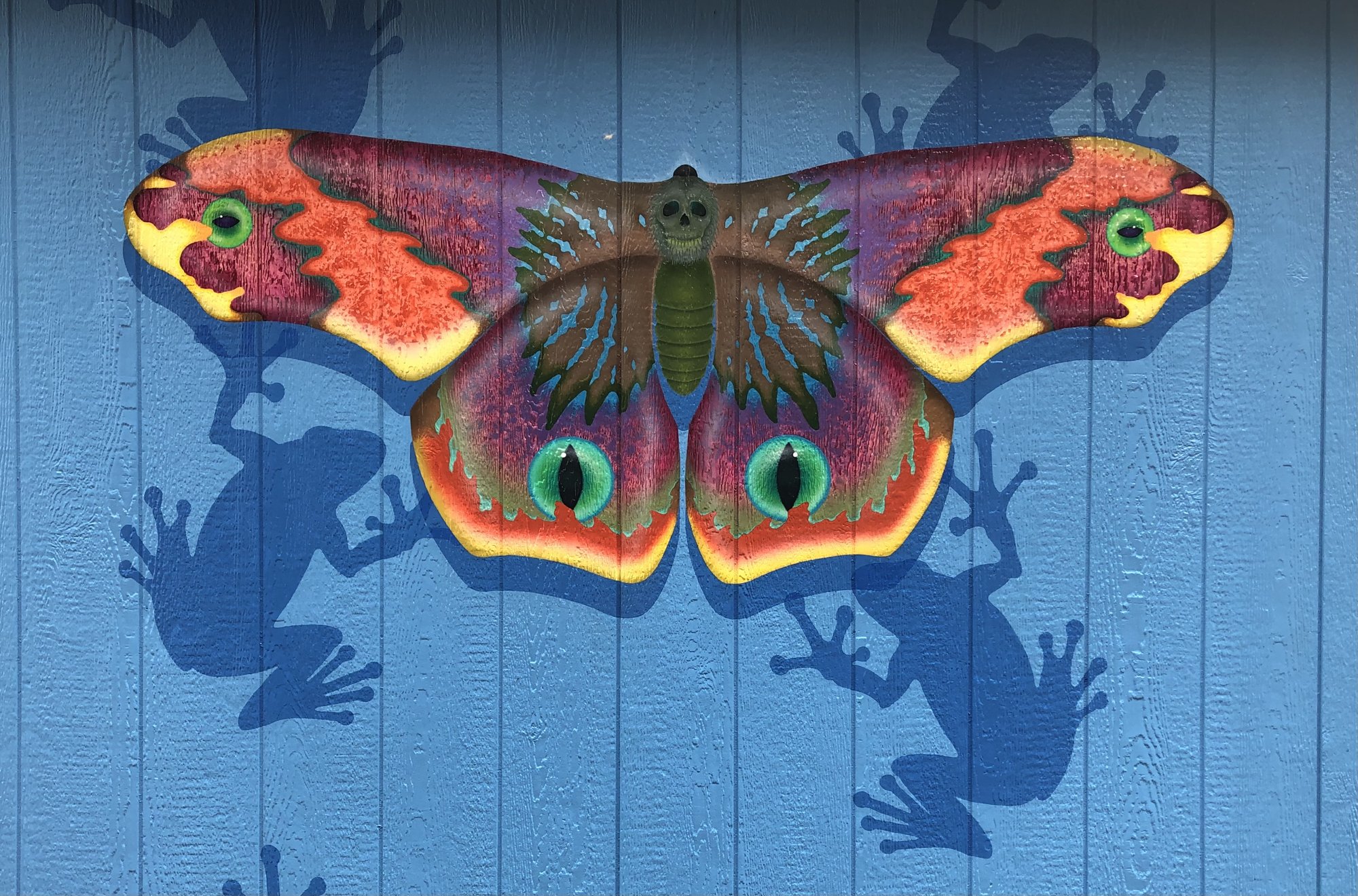 A moth with eye-spotted wings painted on blue siding over the shadows of large frogs.