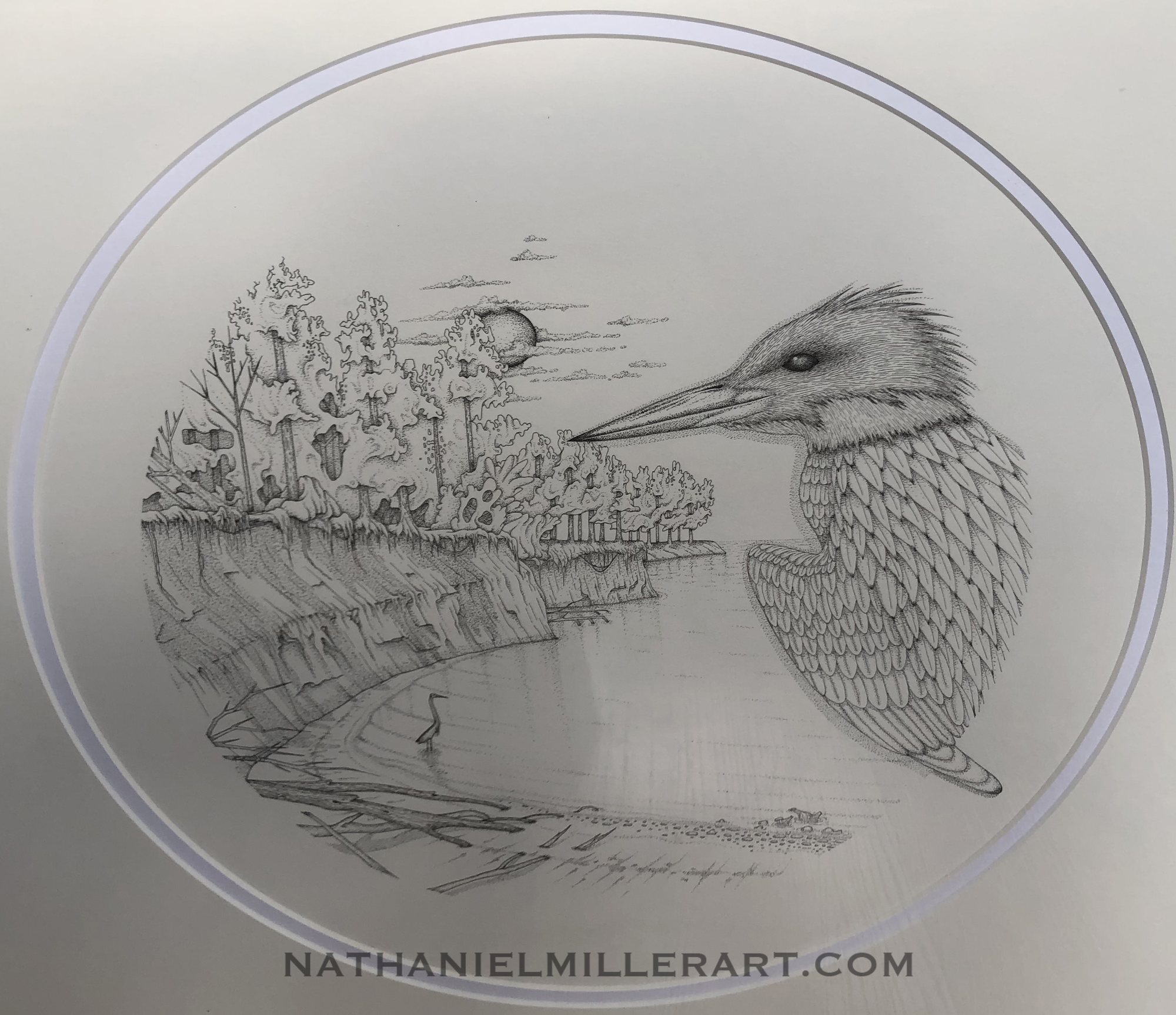 A detailed circular drawing of a bird and its woodland habitat.