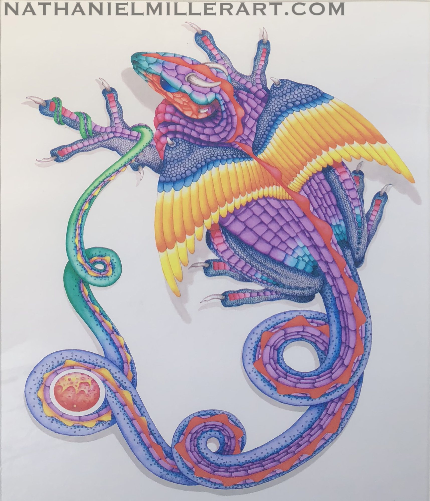 A colorful curling creature filled with intricate patterns.