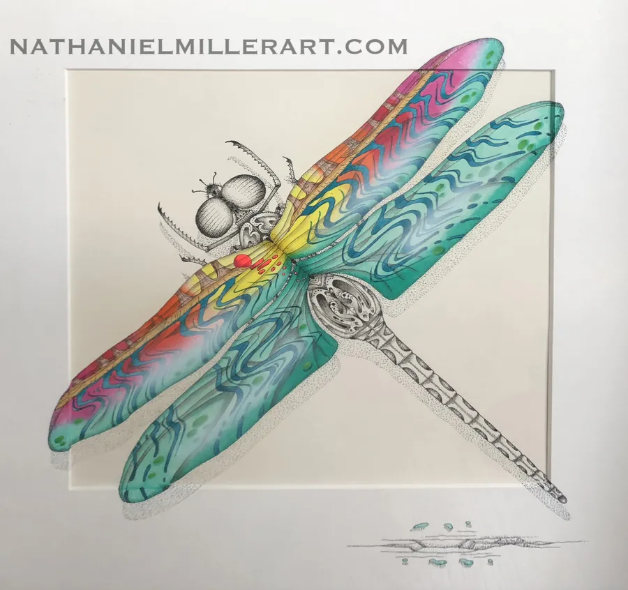An intricately patterned dragonfly with colorful wings.