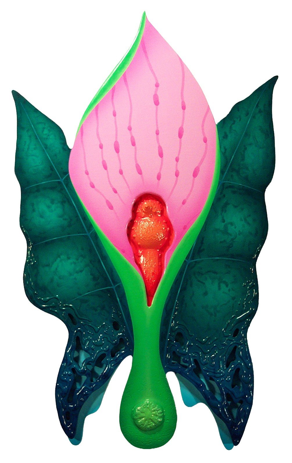 A pink, calla-like bloom rising between dark green butterfly wings.
