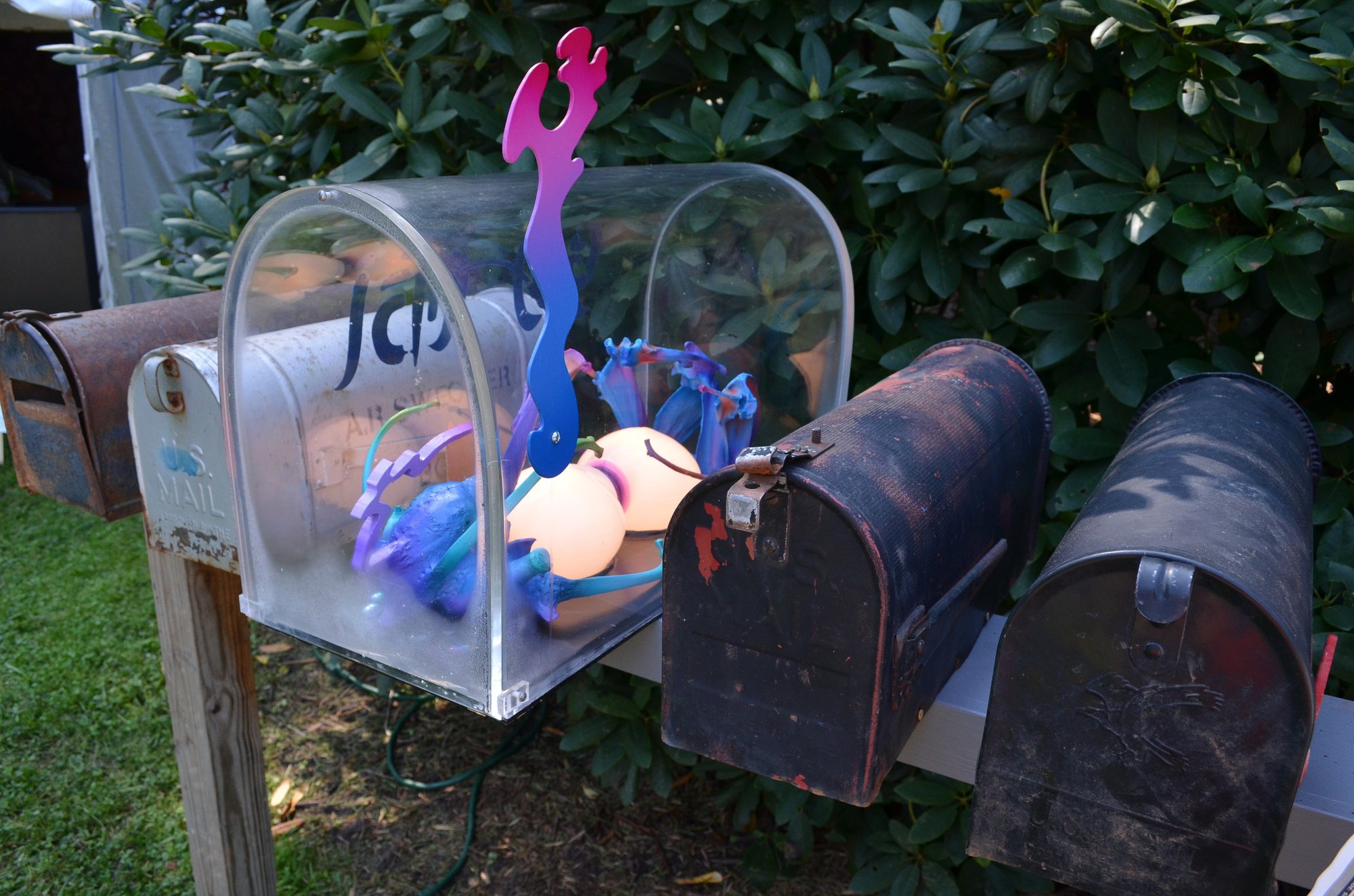 A row of rural mailboxes, one replaced by a clear case holding glowing blue creatures.