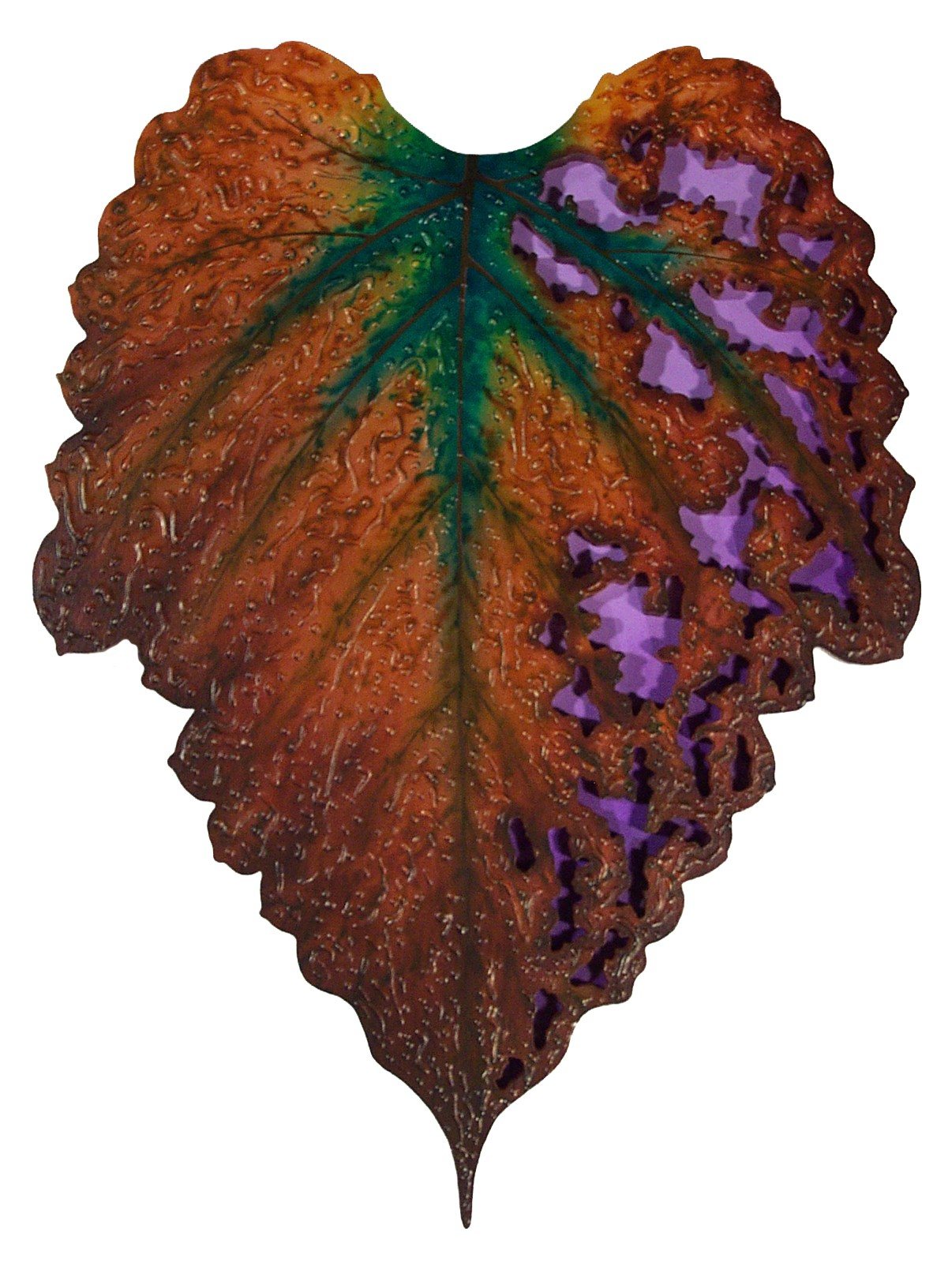 Brown Lace by Nathaniel Miller, from his earlier portfolio.