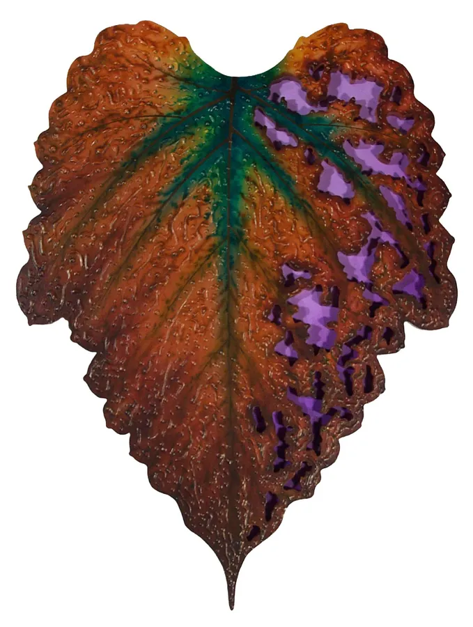 Brown Lace by Nathaniel Miller, from his earlier portfolio.