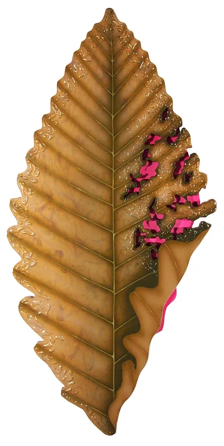 Dripping Pink by Nathaniel Miller, from his earlier portfolio.
