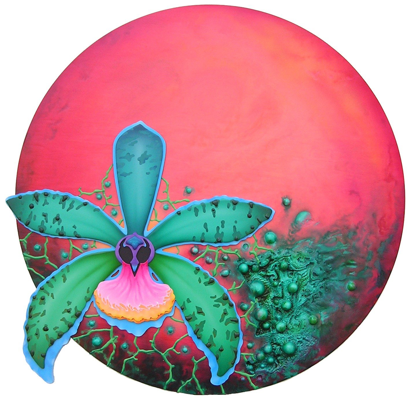 A teal orchid blooms on a round pink-to-red panel, with green textured growth at the lower right.